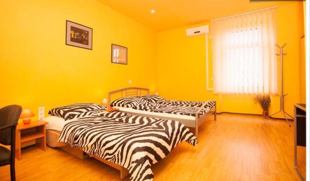 Zona Apartment